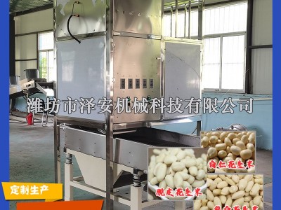 供应 花生米空气脱皮机 乳白花生生产设备 花生米去皮机 效率高图2