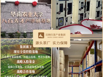 茶叶厂家古树红茶奶茶原料专用果香黄金芽散装特级金骏眉礼品批发图4