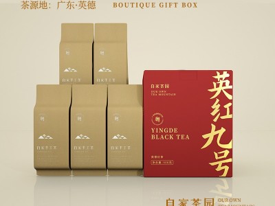 茶叶厂家批发英德红茶英红九号红茶茶叶 高香红茶 伴手礼红茶茶叶图3