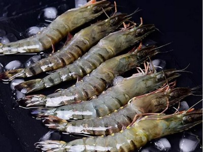 黑虎虾，本土黑虎虾，酒店餐饮刺身拼盘图3