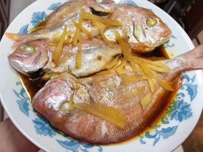 东山深海赤棕鱼 东海深海鱼图5