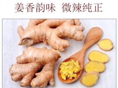 现货供应食品级姜粉云南小黄姜粉散装调味生姜粉超细干姜粉图5