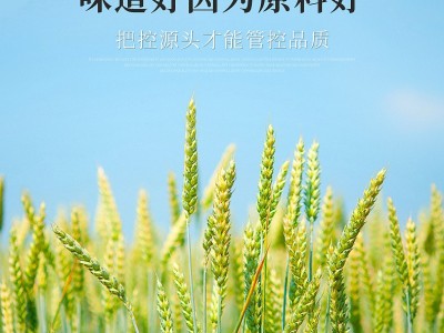 每食天石磨面粉 2.5kg饺子馒头面条麦芯粉 面粉图2