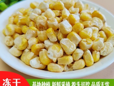 现货批发fd冻干甜玉米脱水玉米蔬菜包散装口感香甜量大从优图2