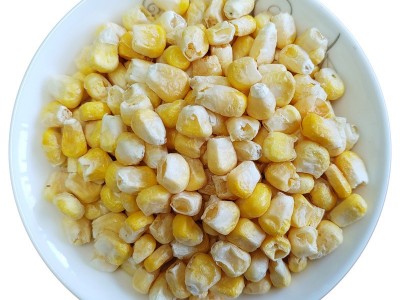 现货批发fd冻干甜玉米脱水玉米蔬菜包散装口感香甜量大从优图5