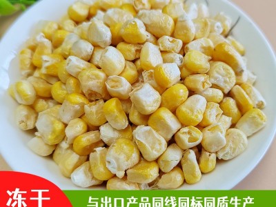 现货批发fd冻干甜玉米脱水玉米蔬菜包散装口感香甜量大从优图4