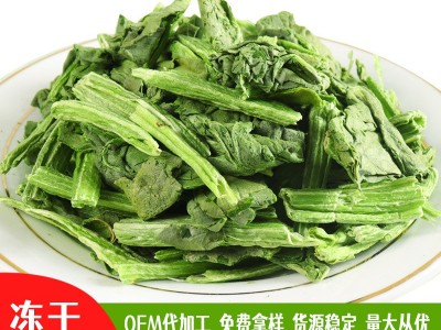 FD冻干菠菜脱水蔬菜干冲泡即食方便携带野外旅行必备厂家直销图1