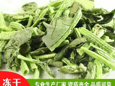 FD冻干菠菜脱水蔬菜干冲泡即食方便携带野外旅行必备厂家直销图4