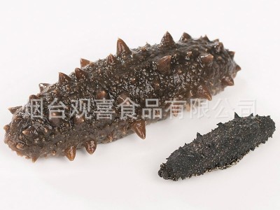 国标淡干海参 烟台海参干货13倍泡发过检小头货图3