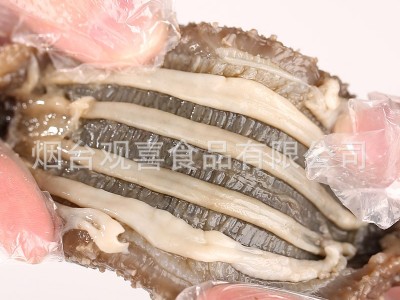 国标淡干海参 烟台海参干货13倍泡发过检小头货图2