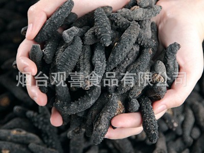 米刺淡干海参/黑米刺无刺疙瘩刺海参散货500g图3