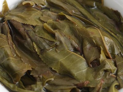 批发云南普洱茶 班章大叶 黄金叶大树普洱生饼 357g七子饼生茶图2