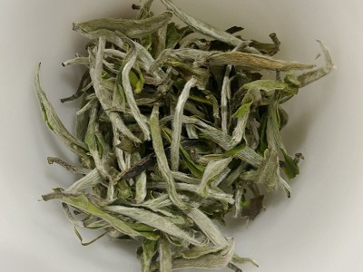 2023年春茶茶叶厂家批发福鼎新茶白茶明前白牡丹散茶 花香牡丹图3