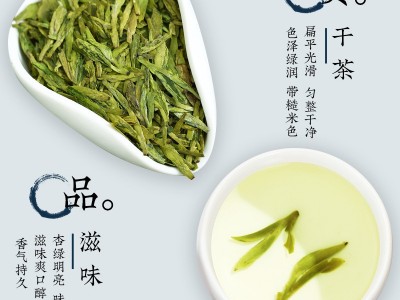 龙井茶2023新茶豆香型特级明前龙井绿茶散装茶叶批发500克春茶图4