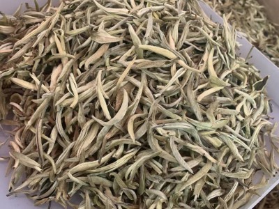 2023年新茶花香白毫银针 花香白茶美人白毫香500g散装茶叶批发图2
