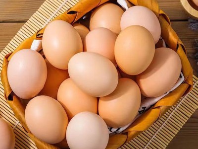 红壳鸡蛋新鲜鸡蛋批发五谷饲养鲜鸡蛋粮食喂养红壳蛋山东厂家批发图1