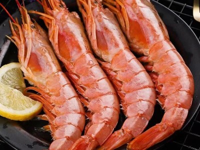 青岛海鲜红虾刺身红虾野生海捕大虾生呛虾冷冻海鲜水产图4