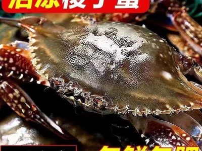 青岛海鲜梭子蟹新鲜活冻野生大号螃蟹海蟹产地直销图1