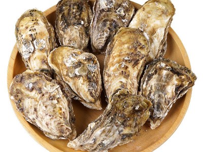 青岛发货生蚝产地批发海鲜鲜活水产海蛎子带壳牡蛎生蚝图5