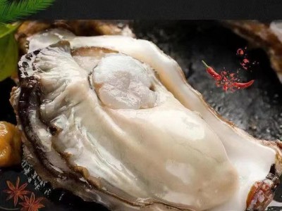 青岛发货生蚝产地批发海鲜鲜活水产海蛎子带壳牡蛎生蚝图3