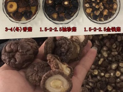 福建厚肉香菇厚面冬菇 3-4cm跟短厚肉剪跟香菇干货 mushroom蘑菇图3