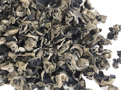多品质东北黑木耳小碗耳 肉厚耳无跟春秋木耳 黑山菜餐饮货500g图2