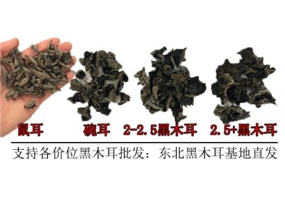 多品质东北黑木耳小碗耳 肉厚耳无跟春秋木耳 黑山菜餐饮货500g图4