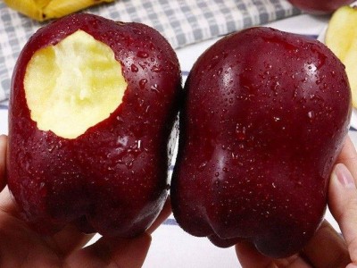 花牛苹果天水新鲜应季水果当季红蛇果粉糥香甜批发整箱10一件批发图4