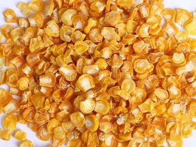 冻干脱水蔬菜 冻干燥玉米粒食品级散装 冻干甜玉米冷冻干蔬菜图3