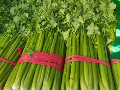 芹菜 云南高山西芹新鲜水果西芹榨汁西芹现摘芹菜香芹新鲜蔬菜图1