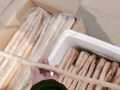 山药小白嘴山药铁棍山药蔬菜新鲜铁杆长山药当季蔬菜图2