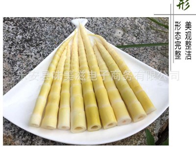 300g清水小笋尖串串笋现挖新鲜竹笋火锅笋脆嫩罗汉笋甜笋春笋笋尖图2