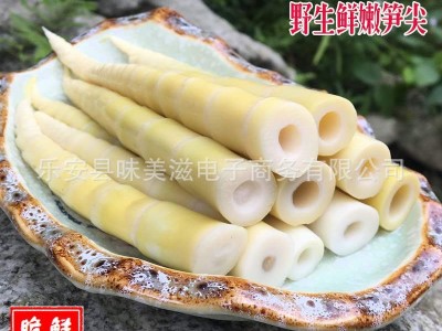 300g清水小笋尖串串笋现挖新鲜竹笋火锅笋脆嫩罗汉笋甜笋春笋笋尖图4