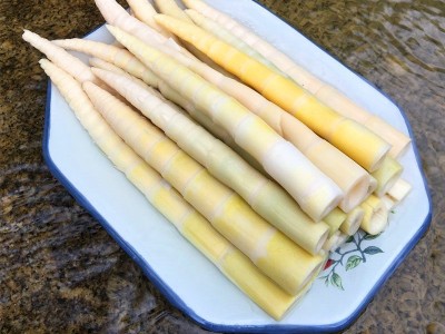 江西竹笋新鲜小竹笋火锅笋食材蔬菜冬笋春笋尖批发500克一件代发图3