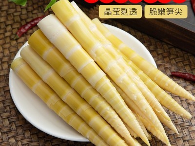 江西竹笋新鲜小竹笋火锅笋食材蔬菜冬笋春笋尖批发500克一件代发图5