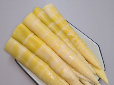 江西竹笋新鲜小竹笋火锅笋食材蔬菜冬笋春笋尖批发500克一件代发图4