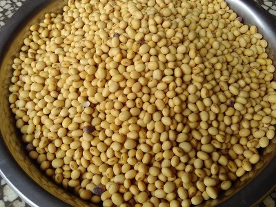 湖南黄豆产地低价批发农家特产黄豆五谷杂粮散装大豆黄豆量大价优图3