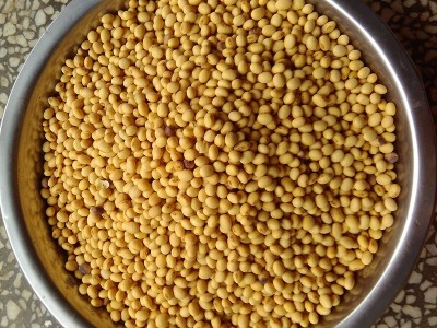湖南黄豆产地低价批发农家特产黄豆五谷杂粮散装大豆黄豆量大价优图2