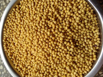 湖南黄豆产地低价批发农家特产黄豆五谷杂粮散装大豆黄豆量大价优图4