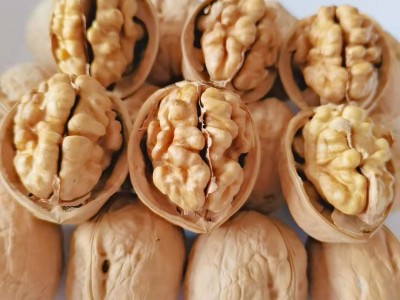 批发新疆185纸皮核桃肉饱满手捏即开手剥 185核桃 新疆薄皮核桃图5