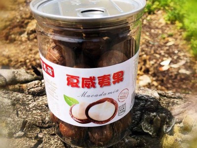 【常春藤- 夏威夷果250g500g奶油澳洲大夏果坚果罐装坚果干果特产图3