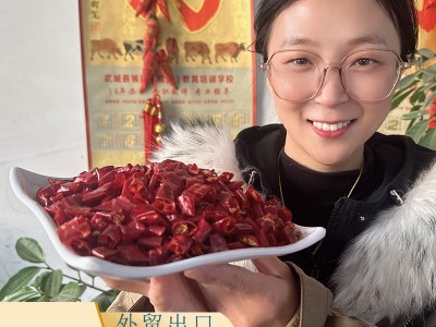 出口批发高辣辣椒段 微辣香辣辣椒段干辣椒段 干辣椒切断工厂加工图2