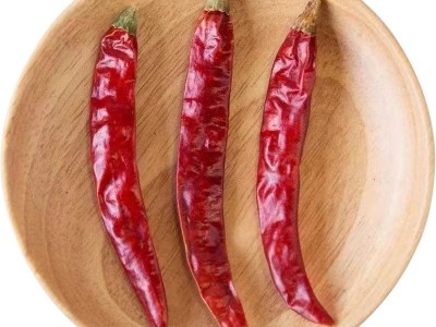 印度椒s17干辣椒段香辣干货红辣椒特辣炒菜厂家批发魔鬼辣干辣椒图4