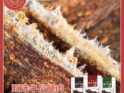 龙帮牛肉干批发风干牛肉麻辣零食四川内蒙古地摊手撕袋装100克图3