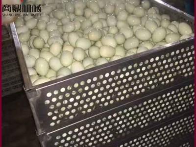 供应真空包装鸭蛋杀菌锅 双层喷淋式灭菌设备 双层高温杀菌锅图4