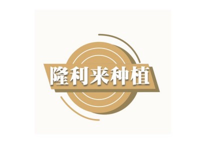 农家自产大黄豆 大黄豆打豆浆原料 农家食用黄豆图2