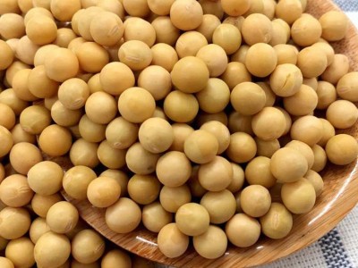 农家自产大黄豆 五谷杂粮大黄豆 杂花豆 黄豆图2