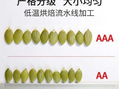 南瓜子仁 真空装2A/3A低温烘焙原料无壳南瓜籽20kg整箱生熟南瓜仁图4
