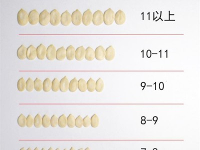 雪白仁生西瓜子仁30斤装 8-9mm新疆原味瓜子烘焙糕点月饼原料批发图4