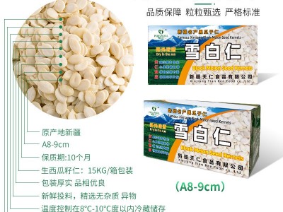 雪白仁生西瓜子仁30斤装 8-9mm新疆原味瓜子烘焙糕点月饼原料批发图3